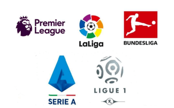 奠定了基础 奠定了基础